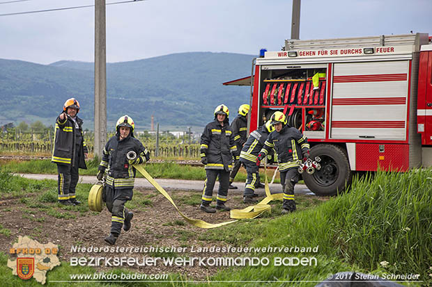 20170507 Brand mehrerer Strohballen direkt neben Windschutzguertel in Tribuswinkel  Foto: © Stefan Schneider