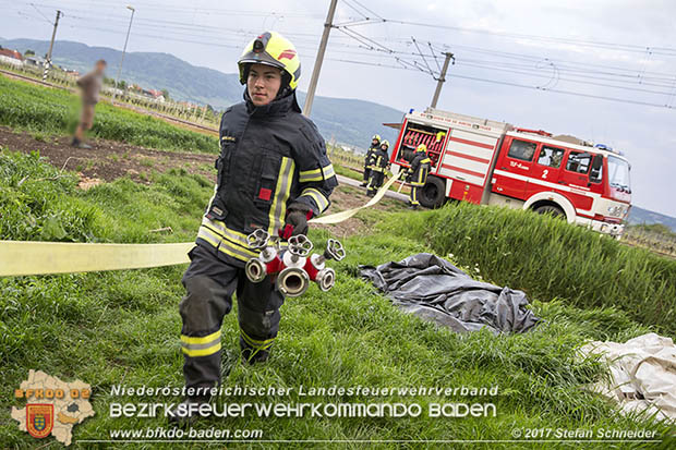 20170507 Brand mehrerer Strohballen direkt neben Windschutzguertel in Tribuswinkel  Foto: © Stefan Schneider