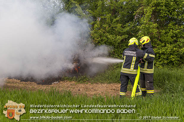 20170507 Brand mehrerer Strohballen direkt neben Windschutzguertel in Tribuswinkel  Foto: © Stefan Schneider