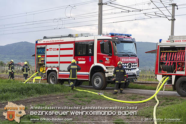 20170507 Brand mehrerer Strohballen direkt neben Windschutzguertel in Tribuswinkel  Foto: © Stefan Schneider