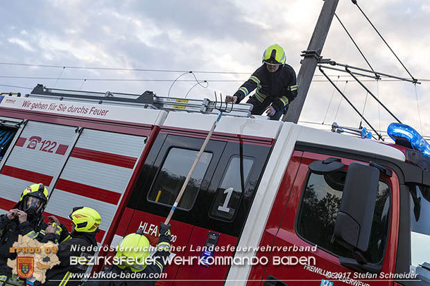 20170507 Brand mehrerer Strohballen direkt neben Windschutzguertel in Tribuswinkel  Foto: © Stefan Schneider