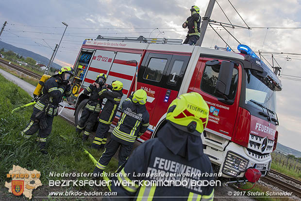 20170507 Brand mehrerer Strohballen direkt neben Windschutzguertel in Tribuswinkel  Foto: © Stefan Schneider