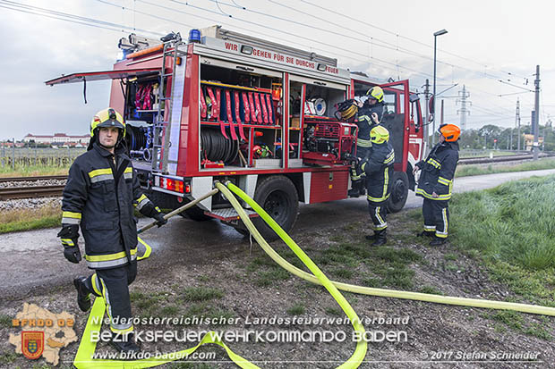 20170507 Brand mehrerer Strohballen direkt neben Windschutzguertel in Tribuswinkel  Foto: © Stefan Schneider