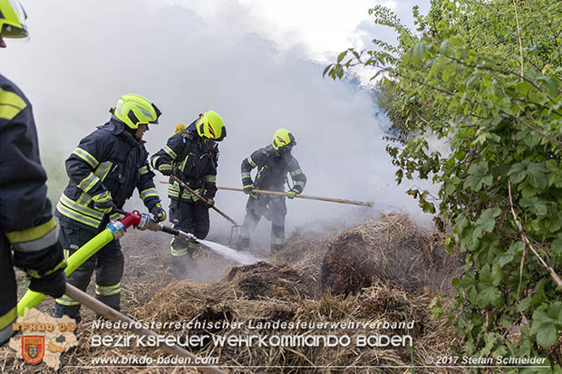 20170507 Brand mehrerer Strohballen direkt neben Windschutzguertel in Tribuswinkel  Foto: © Stefan Schneider