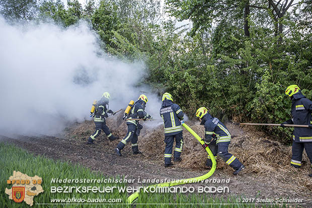 20170507 Brand mehrerer Strohballen direkt neben Windschutzguertel in Tribuswinkel  Foto: © Stefan Schneider