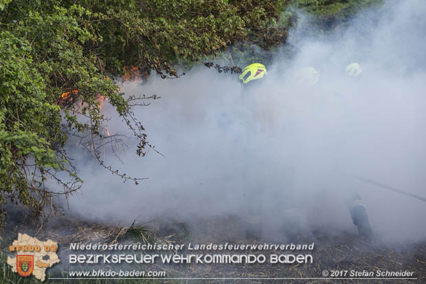 20170507 Brand mehrerer Strohballen direkt neben Windschutzguertel in Tribuswinkel  Foto: © Stefan Schneider