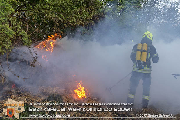 20170507 Brand mehrerer Strohballen direkt neben Windschutzguertel in Tribuswinkel  Foto: © Stefan Schneider