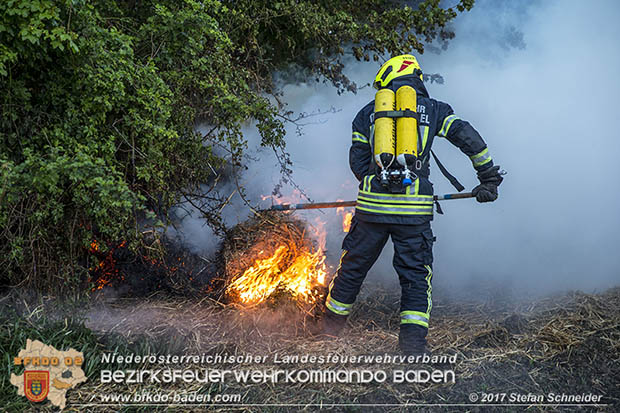 20170507 Brand mehrerer Strohballen direkt neben Windschutzguertel in Tribuswinkel  Foto: © Stefan Schneider