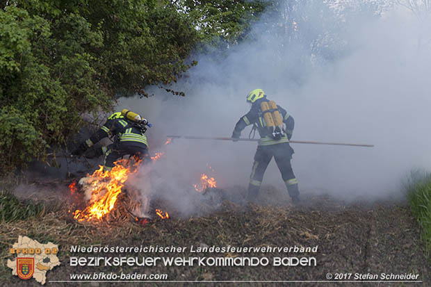 20170507 Brand mehrerer Strohballen direkt neben Windschutzguertel in Tribuswinkel  Foto: © Stefan Schneider