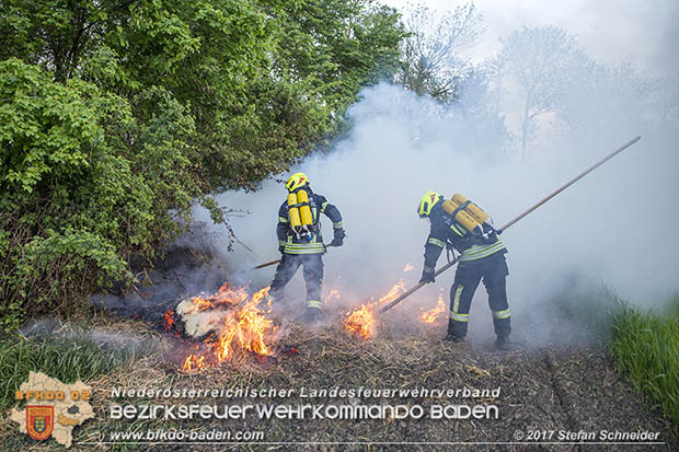 20170507 Brand mehrerer Strohballen direkt neben Windschutzguertel in Tribuswinkel  Foto: © Stefan Schneider