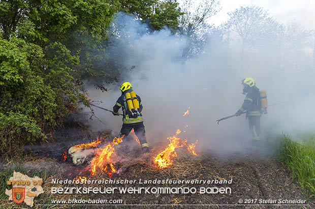 20170507 Brand mehrerer Strohballen direkt neben Windschutzguertel in Tribuswinkel  Foto: © Stefan Schneider