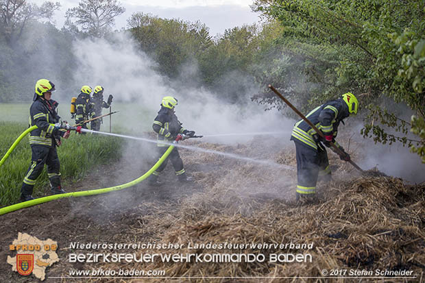 20170507 Brand mehrerer Strohballen direkt neben Windschutzguertel in Tribuswinkel  Foto: © Stefan Schneider