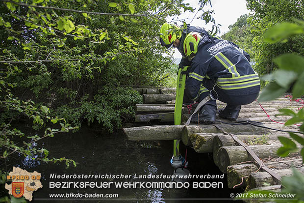 20170507 Brand mehrerer Strohballen direkt neben Windschutzguertel in Tribuswinkel  Foto: © Stefan Schneider