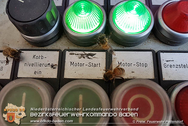 20170512 Bienenvölker halten die Feuerwehr Pottendorf auf Trab Foto: © FF Pottendorf 20170512 Bienenvölker halten die Feuerwehr Pottendorf auf Trab Foto: © FF Pottendorf