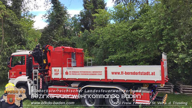 umgestürzter Baum drohte auf stationäres Wohnmobil zu stürzen am Muttertag in St.Veit a.d.Triesting  Foto: Johannes Weinbauer FF St.Veit