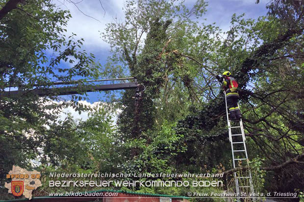 umgestürzter Baum drohte auf stationäres Wohnmobil zu stürzen am Muttertag in St.Veit a.d.Triesting  Foto: Johannes Weinbauer FF St.Veit