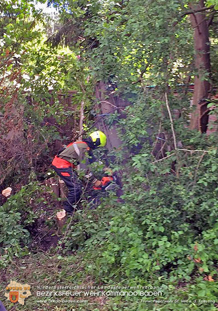 umgestürzter Baum drohte auf stationäres Wohnmobil zu stürzen am Muttertag in St.Veit a.d.Triesting  Foto: Johannes Weinbauer FF St.Veit