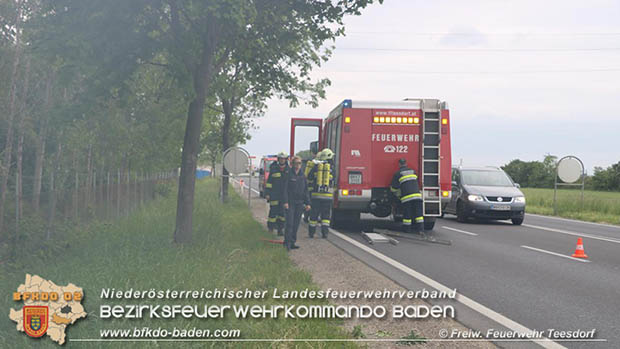 20170520 Unerlaubtes Verbrennen im Freien sorgte für Feuerwehreinsatz  Foto: © FF Teesdorf