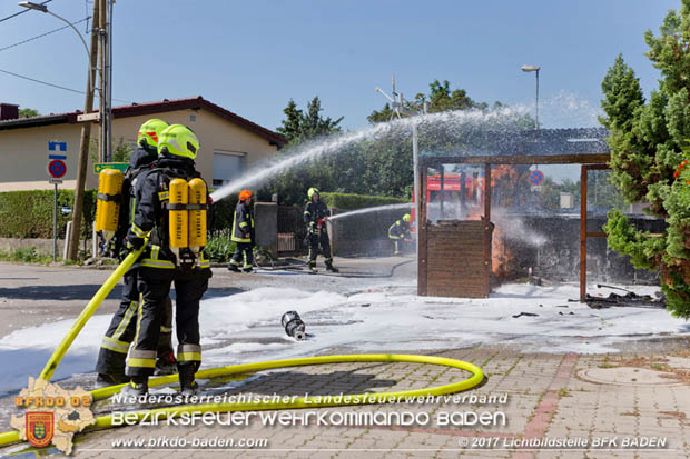 20170615 Bei Müllinselbrand in Tribuswinkel Gasleitung, Carport, Pkw sowie Stromanschlusskästen in Brand geraten 20170615 Bei Müllinselbrand in Tribuswinkel Gasleitung, Carport, Pkw sowie Stromanschlusskästen in Brand geraten