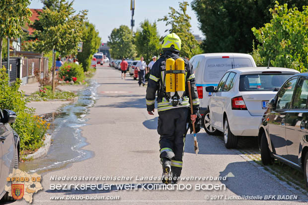 20170615 Bei Müllinselbrand in Tribuswinkel Gasleitung, Carport, Pkw sowie Stromanschlusskästen in Brand geraten 20170615 Bei Müllinselbrand in Tribuswinkel Gasleitung, Carport, Pkw sowie Stromanschlusskästen in Brand geraten
