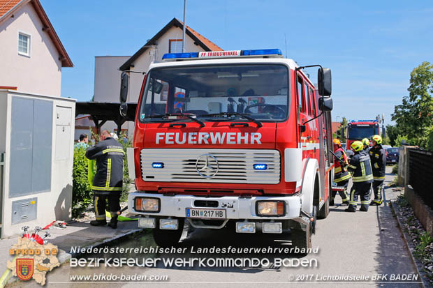20170615 Bei Müllinselbrand in Tribuswinkel Gasleitung, Carport, Pkw sowie Stromanschlusskästen in Brand geraten