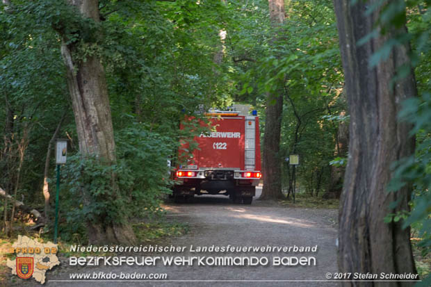 20170619 Brand von Strohballen im Schlosspark Tribuswinkel  Foto: Stefan Schneider BFK Baden
