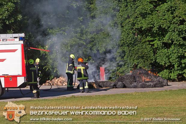 20170619 Brand von Strohballen im Schlosspark Tribuswinkel  Foto: Stefan Schneider BFK Baden