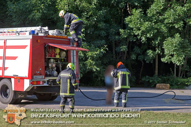 20170619 Brand von Strohballen im Schlosspark Tribuswinkel  Foto: Stefan Schneider BFK Baden