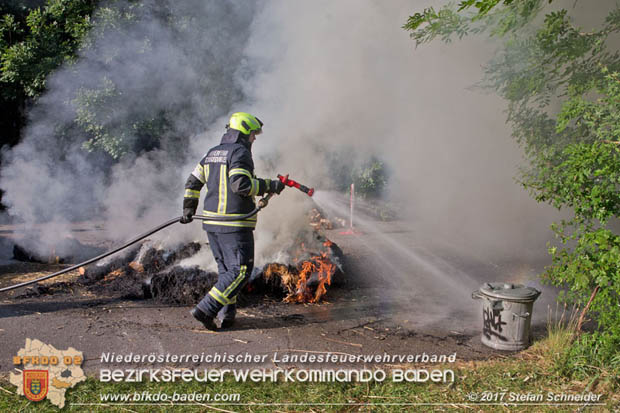 20170619 Brand von Strohballen im Schlosspark Tribuswinkel  Foto: Stefan Schneider BFK Baden