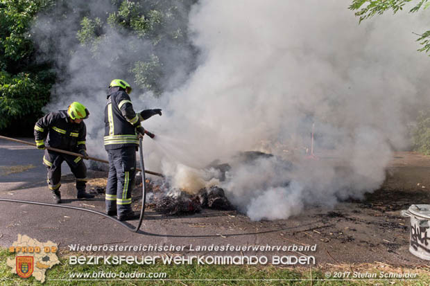 20170619 Brand von Strohballen im Schlosspark Tribuswinkel  Foto: Stefan Schneider BFK Baden