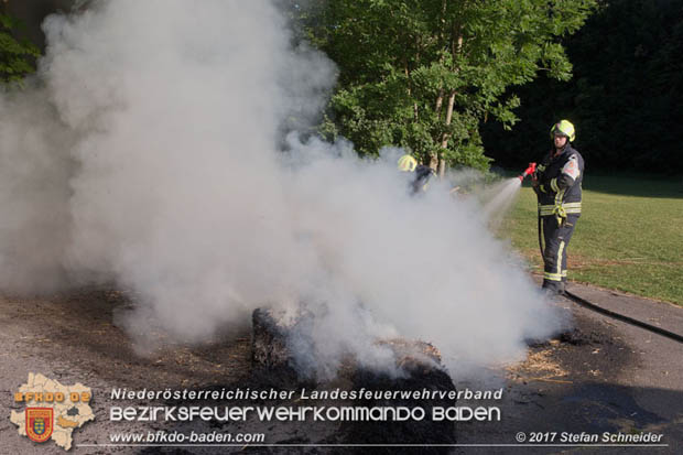 20170619 Brand von Strohballen im Schlosspark Tribuswinkel  Foto: Stefan Schneider BFK Baden