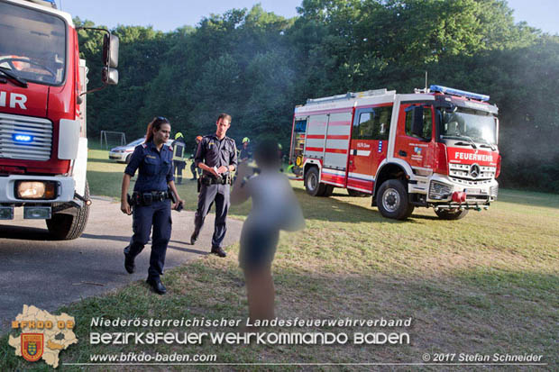 20170619 Brand von Strohballen im Schlosspark Tribuswinkel  Foto: Stefan Schneider BFK Baden