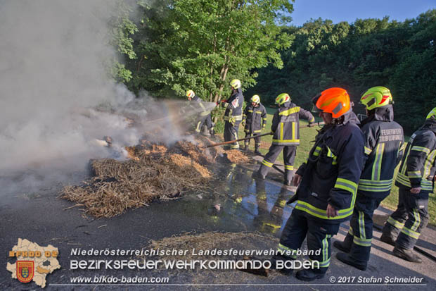 20170619 Brand von Strohballen im Schlosspark Tribuswinkel  Foto: Stefan Schneider BFK Baden