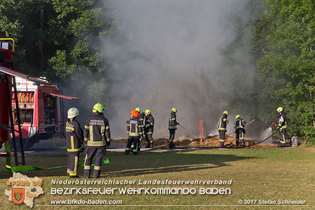 20170619 Brand von Strohballen im Schlosspark Tribuswinkel  Foto: Stefan Schneider BFK Baden