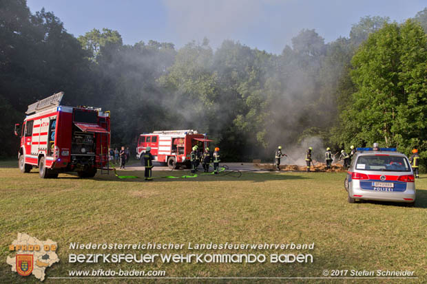 20170619 Brand von Strohballen im Schlosspark Tribuswinkel  Foto: Stefan Schneider BFK Baden
