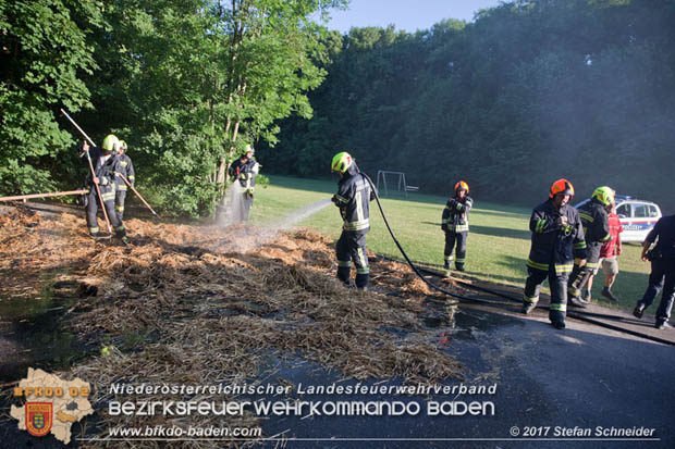 20170619 Brand von Strohballen im Schlosspark Tribuswinkel  Foto: Stefan Schneider BFK Baden