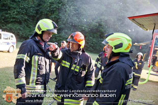 20170619 Brand von Strohballen im Schlosspark Tribuswinkel  Foto: Stefan Schneider BFK Baden