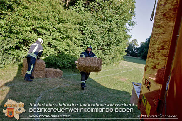 20170619 Brand von Strohballen im Schlosspark Tribuswinkel  Foto: Stefan Schneider BFK Baden