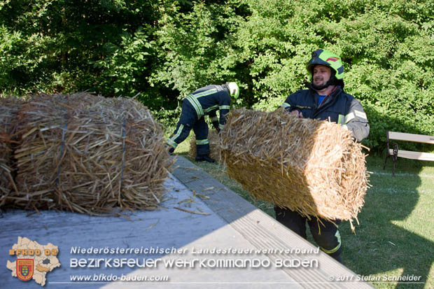 20170619 Brand von Strohballen im Schlosspark Tribuswinkel  Foto: Stefan Schneider BFK Baden