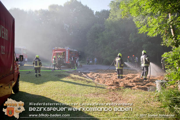 20170619 Brand von Strohballen im Schlosspark Tribuswinkel  Foto: Stefan Schneider BFK Baden