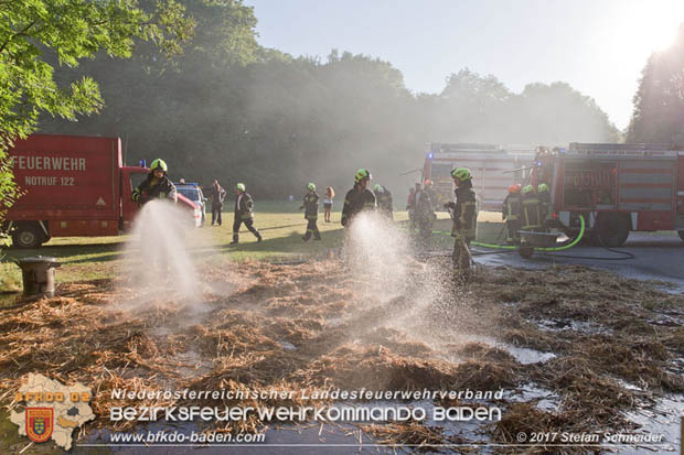 20170619 Brand von Strohballen im Schlosspark Tribuswinkel  Foto: Stefan Schneider BFK Baden