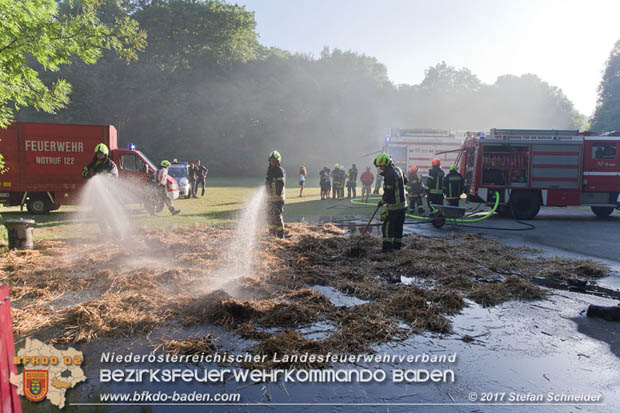 20170619 Brand von Strohballen im Schlosspark Tribuswinkel  Foto: Stefan Schneider BFK Baden