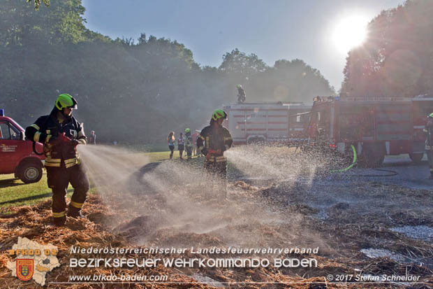 20170619 Brand von Strohballen im Schlosspark Tribuswinkel  Foto: Stefan Schneider BFK Baden