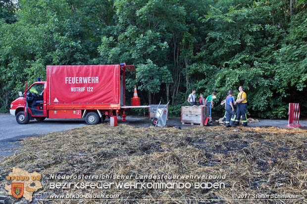 20170619 Brand von Strohballen im Schlosspark Tribuswinkel  Foto: Stefan Schneider BFK Baden