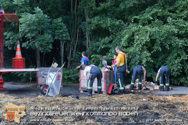20170619 Brand von Strohballen im Schlosspark Tribuswinkel  Foto: Stefan Schneider BFK Baden