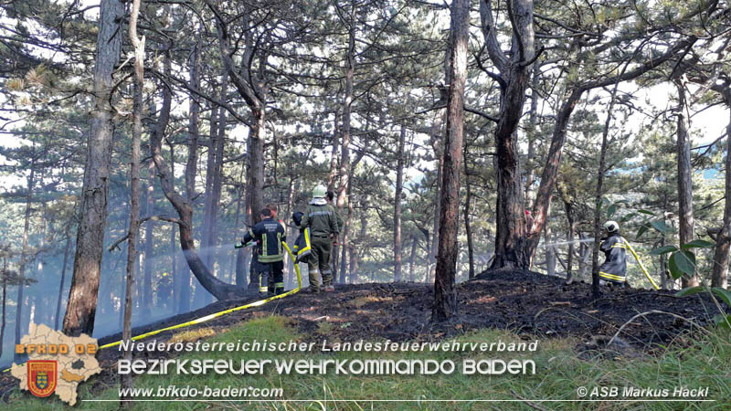 20170624 Waldbrand bei Grillenberg Gemeinde Hernstein Foto: © ASB Markus Hackl 20170624 Waldbrand bei Grillenberg Gemeinde Hernstein Foto: © ASB Markus Hackl