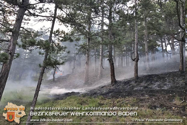 20170624 Waldbrand bei Grillenberg Gemeinde Hernstein Foto: © FF Grillenberg 20170624 Waldbrand bei Grillenberg Gemeinde Hernstein Foto: © FF Grillenberg