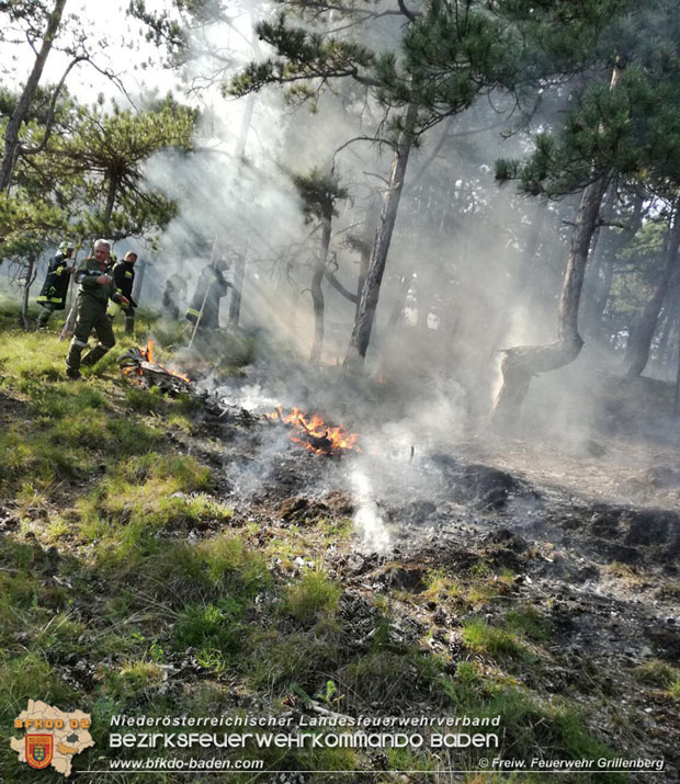 20170624 Waldbrand bei Grillenberg Gemeinde Hernstein Foto: © FF Grillenberg 20170624 Waldbrand bei Grillenberg Gemeinde Hernstein Foto: © FF Grillenberg