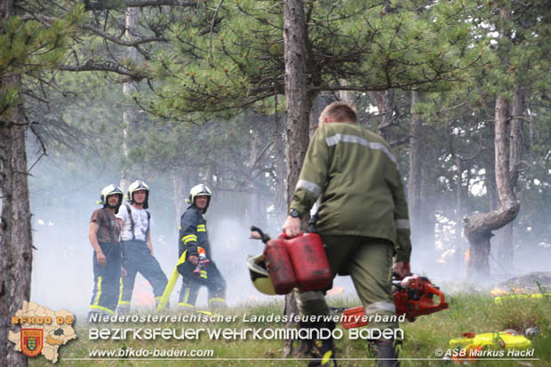 20170624 Waldbrand bei Grillenberg Gemeinde Hernstein  Foto: © ASB Markus Hackl