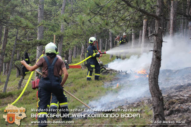 20170624 Waldbrand bei Grillenberg Gemeinde Hernstein  Foto: © ASB Markus Hackl